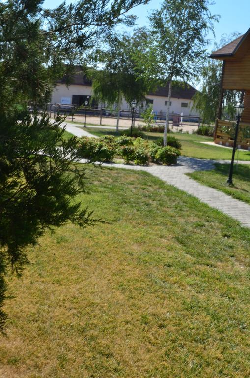 Panska Hata Ξενοδοχείο Nyzhnya Khortytsya Εξωτερικό φωτογραφία
